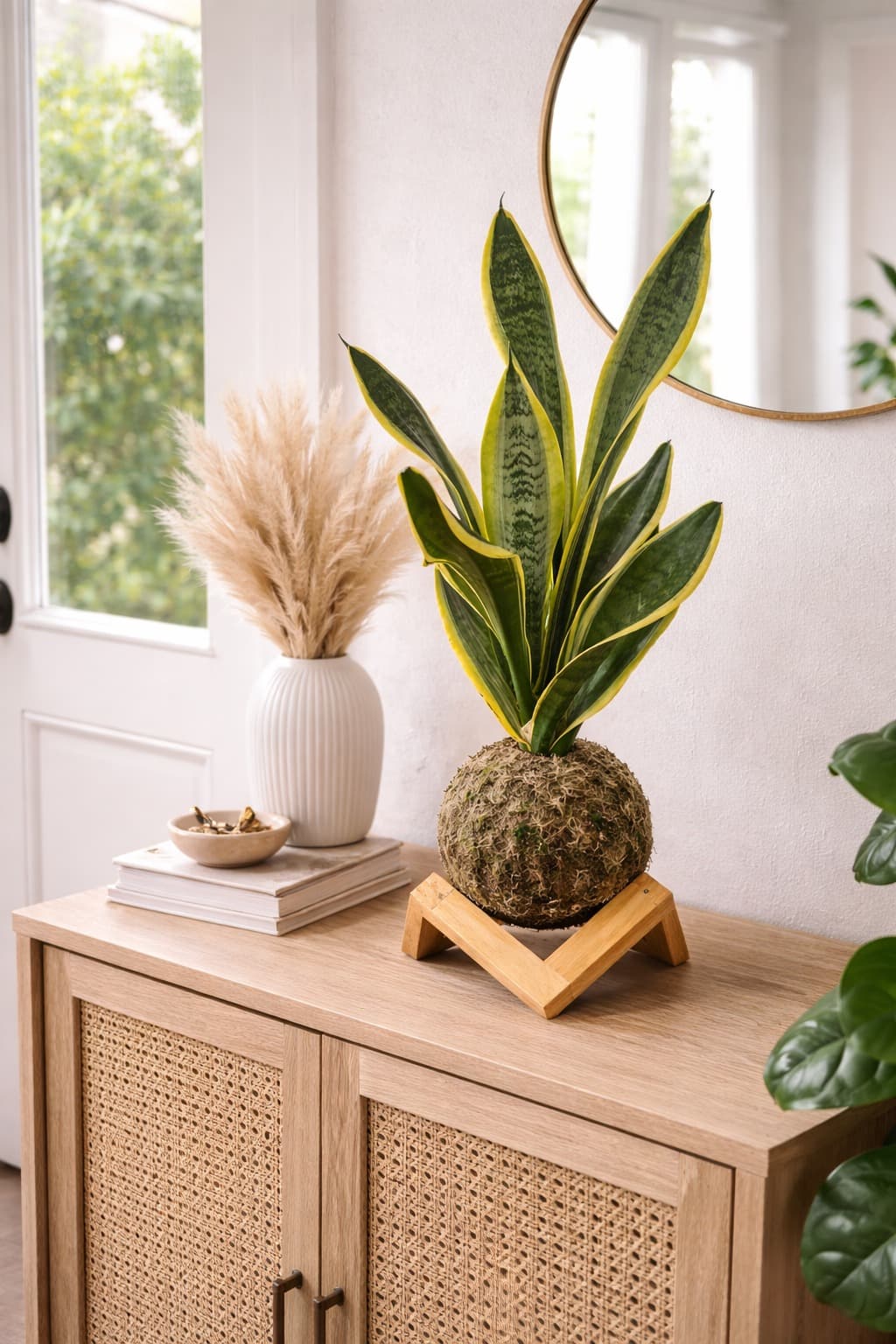 Kokedama Espada de Santa Bárbara — kokedama artesanal no Rio de Janeiro / Tijuca